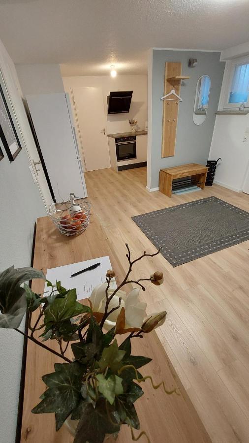 Ferienwohnung Esther ジンゲン エクステリア 写真